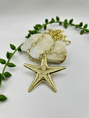 Collar Estrella XL