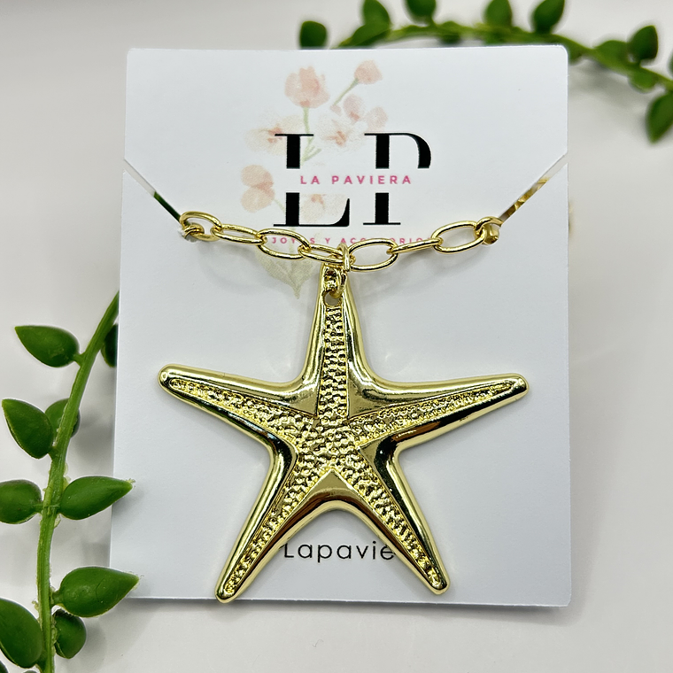 Collar Estrella XL 3