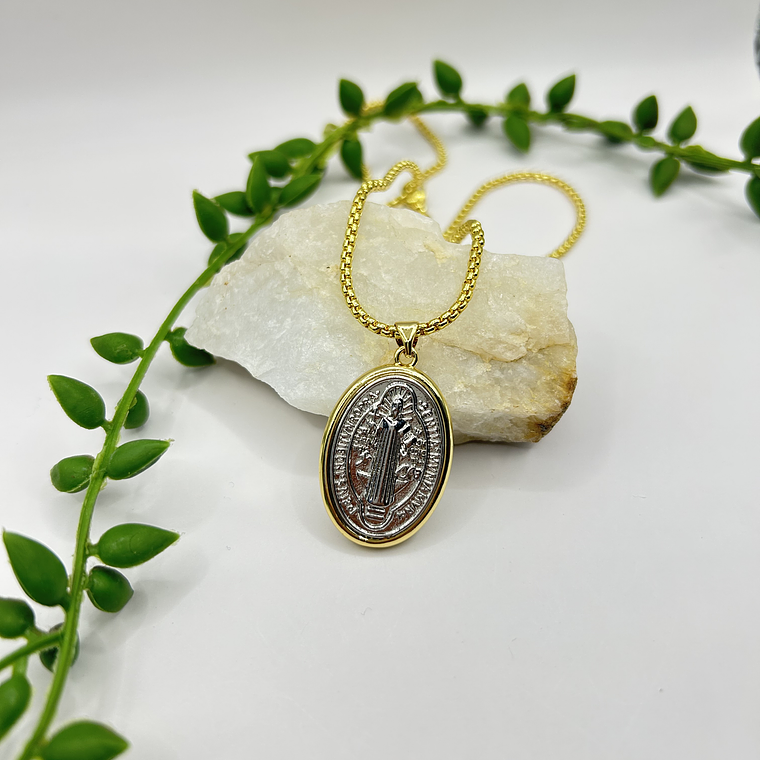 Collar San Benito bicolor XL 1