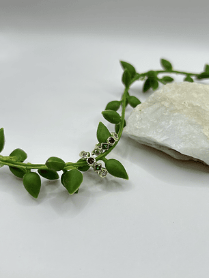 Argollas Color Shine