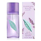 Green Tea Lavender 100 ml - Miniatura 1
