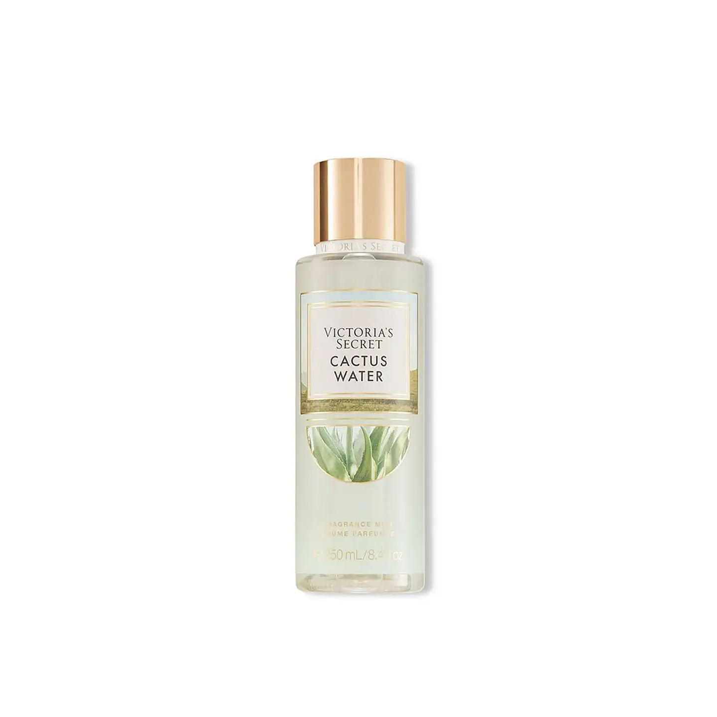Mist Corporal Cactus Water 250 ml 1