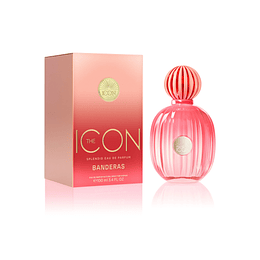 The Icon Splendid 100 ml EDP