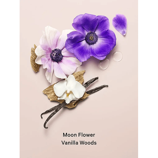 Mist Corporal Midnight Bloom 250 ml