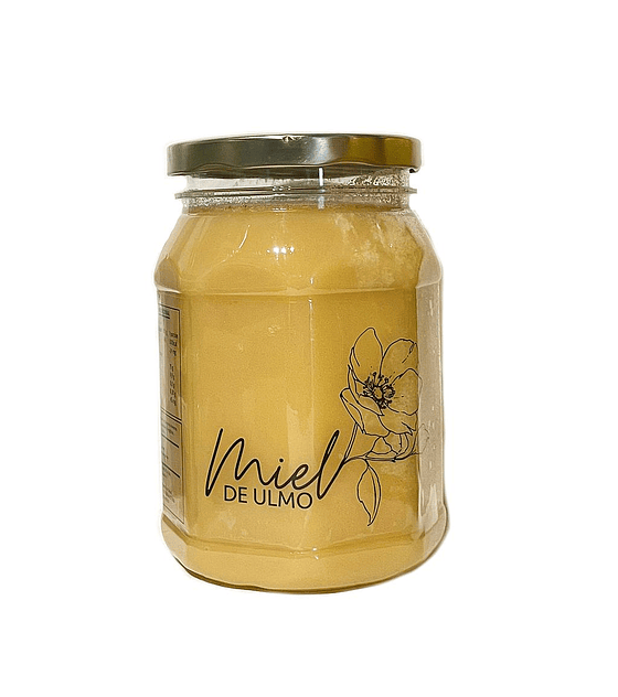 MIEL DE ULMO 1KG