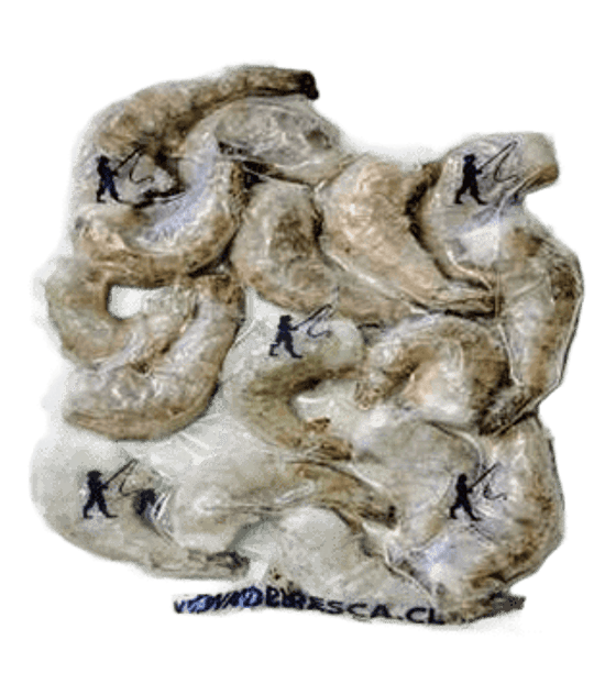 CAMARON 16/20 CON CASCARA 500 GRS