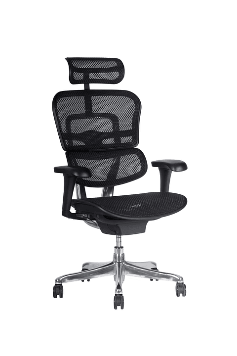 Silla de oficina Ergo Fit Malla