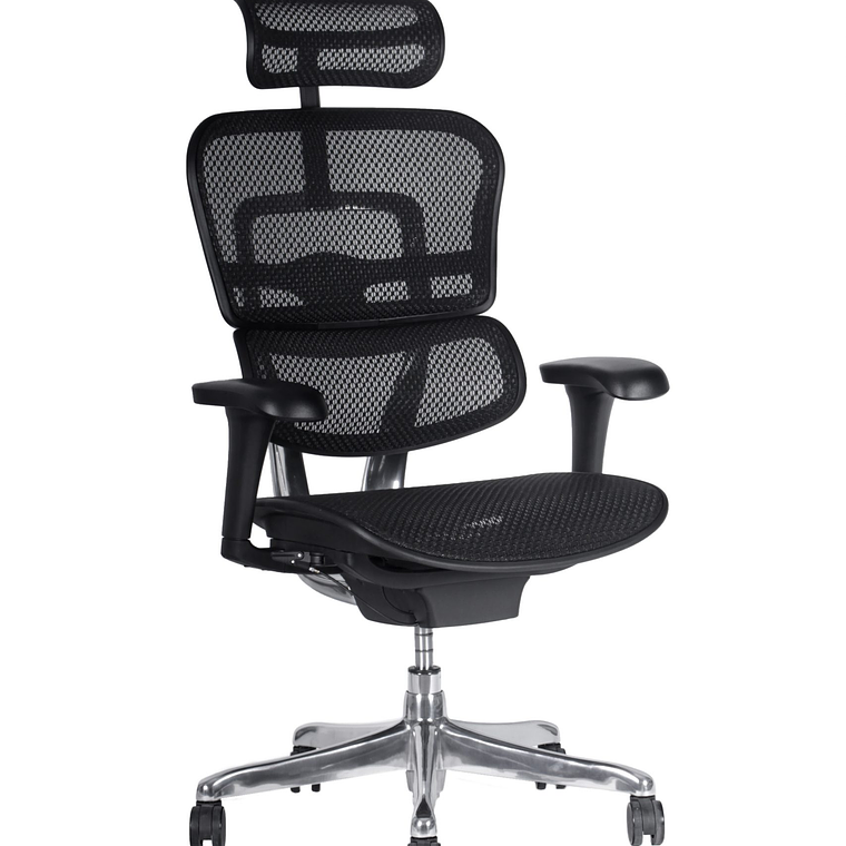 Silla de oficina Ergo Fit Malla 1