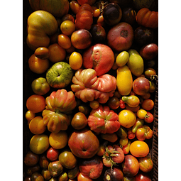 Tomate Herencia Mix 2 kilos Agroecológico (despacho martes y viernes)