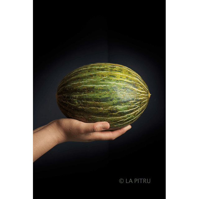 Melón Piel de sapo Agroecológico 1u