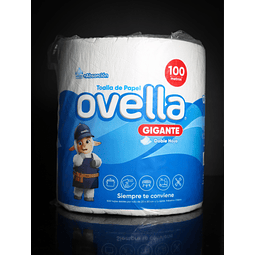 Toalla de Papel XL 100m Doble Hoja