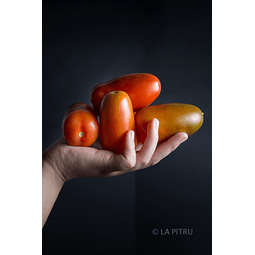 Tomate Pera  17 Kilos