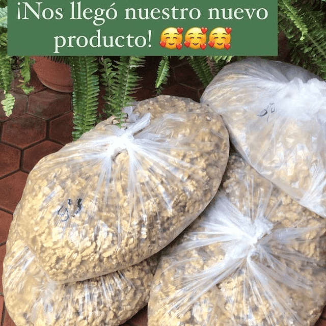 Nueces corte mariposa 500g