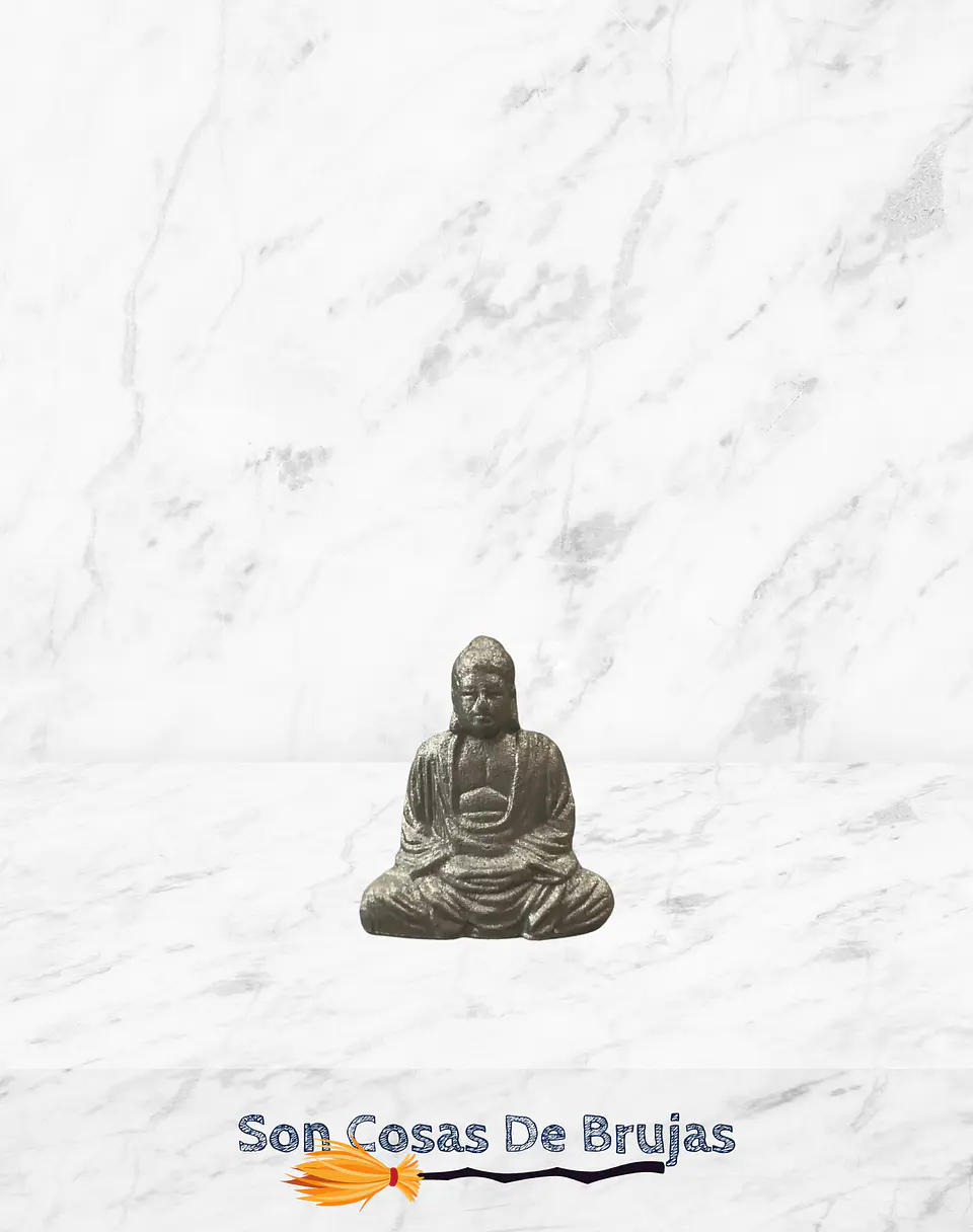 Micro Buda 1