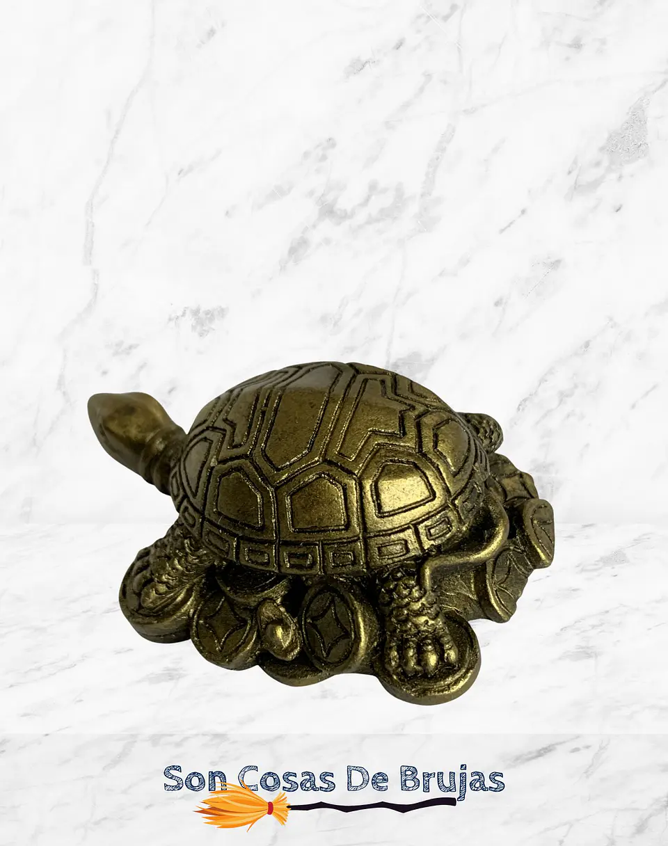 Tortuga 2