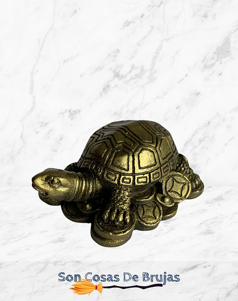 Tortuga