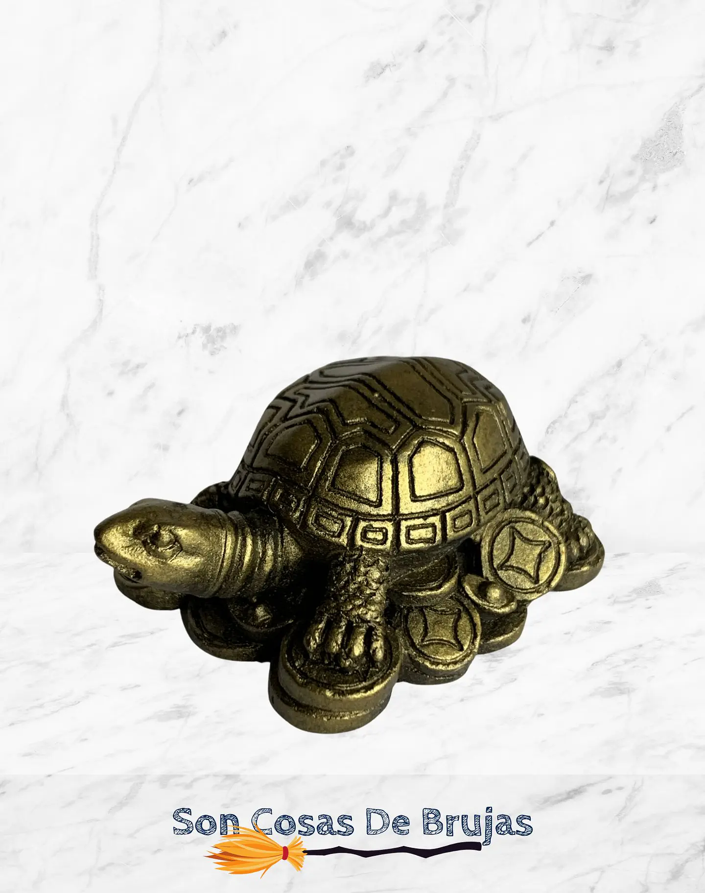 Tortuga 1