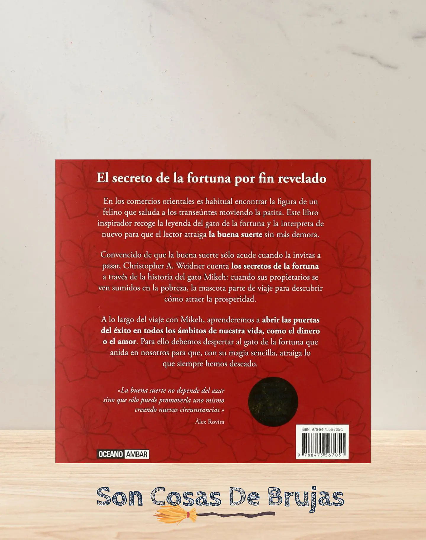 El gato de la suerte 2