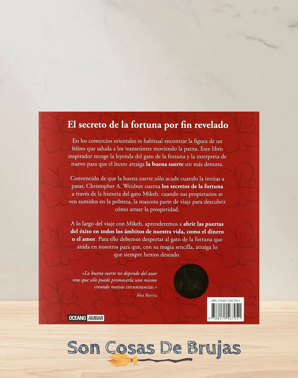 El gato de la suerte 2
