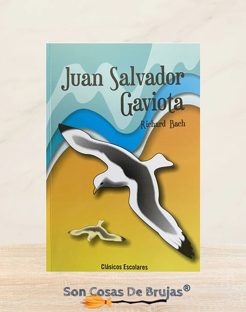 Juan Salvador Gaviota 