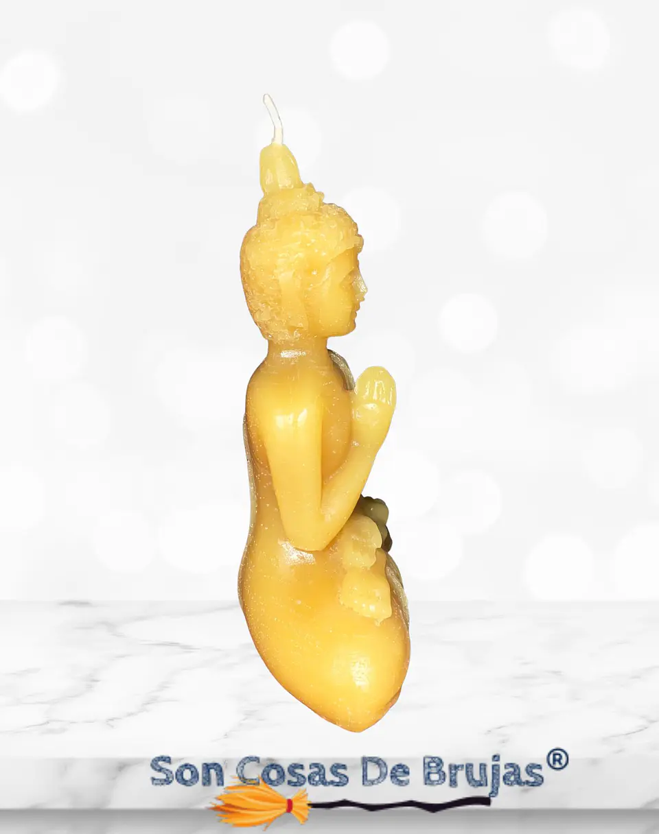 Vela Buda  2