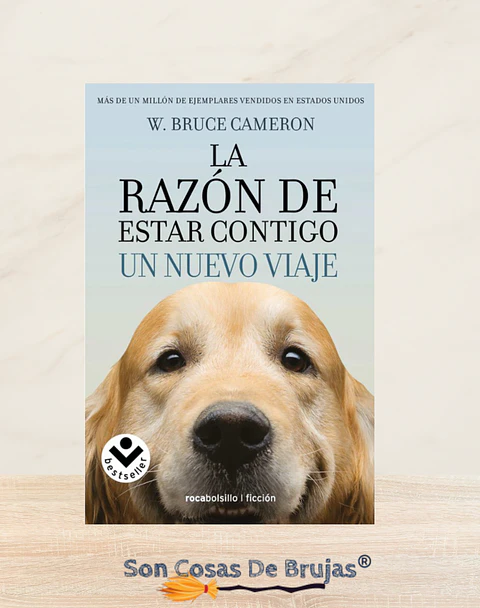 La Razón De Estar Contigo, Un Nuevo Viaje 