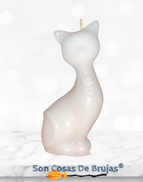 Gato Blanco 