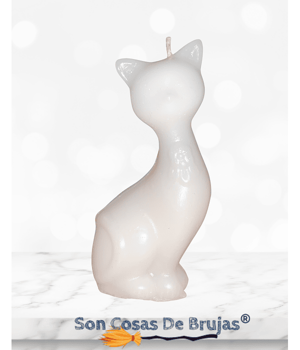 Gato Blanco 