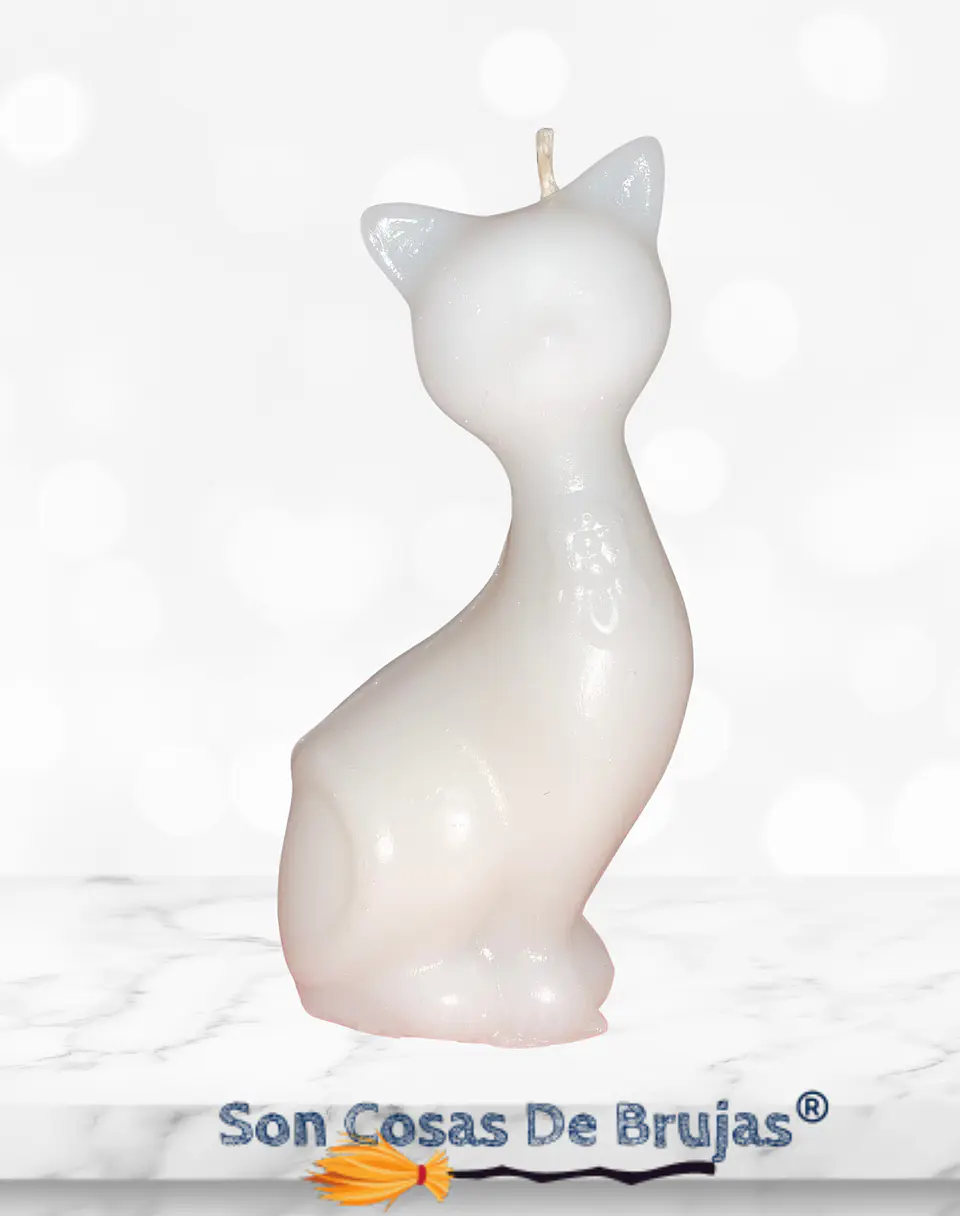 Gato Blanco  1