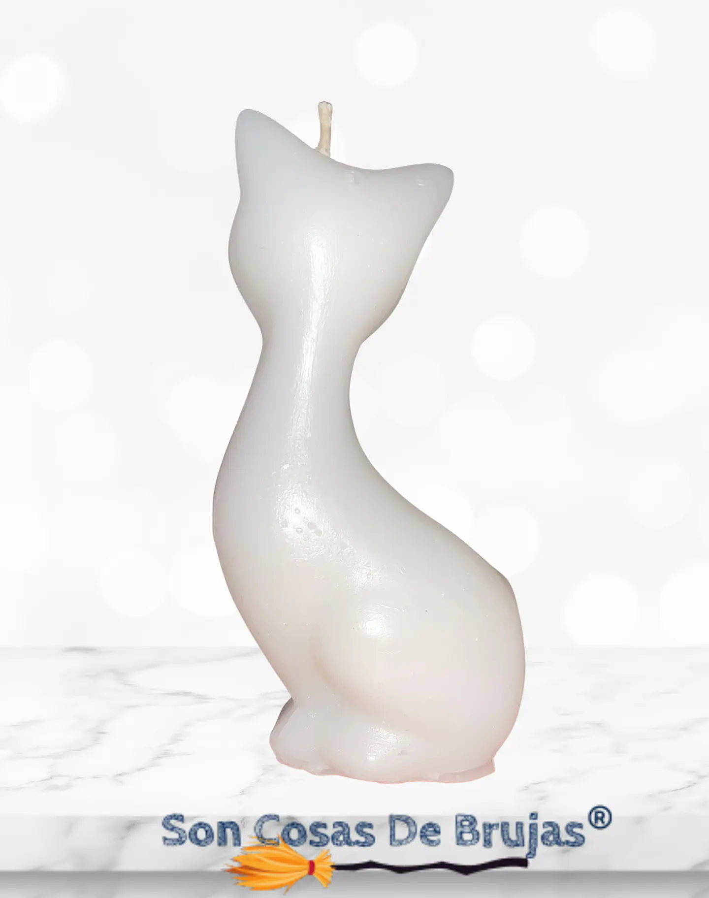 Gato Blanco  3
