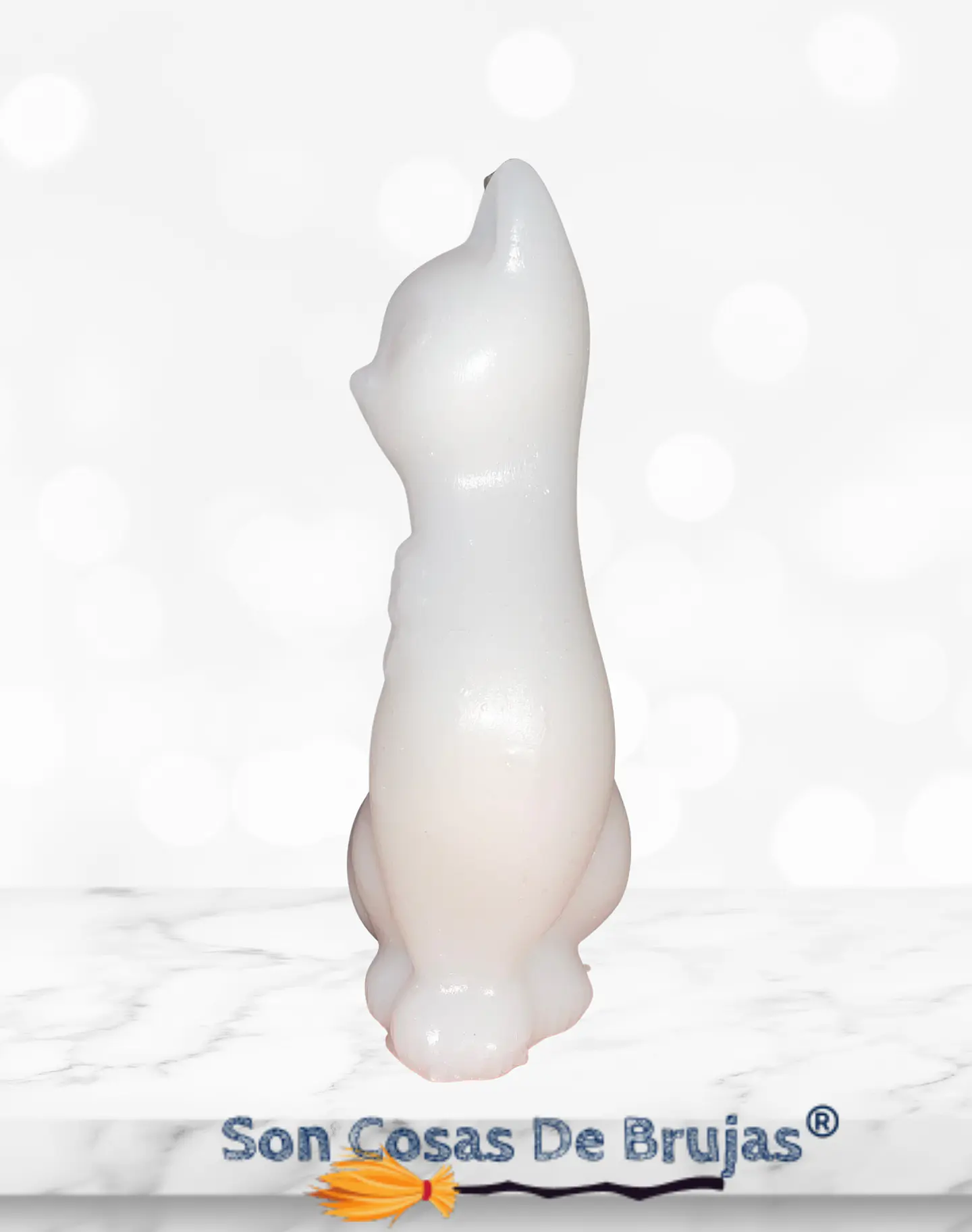 Gato Blanco  2