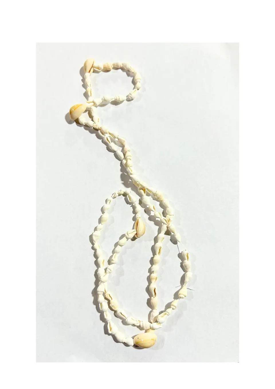COLLAR CARACOL PEQUEÑO BLANCO 1