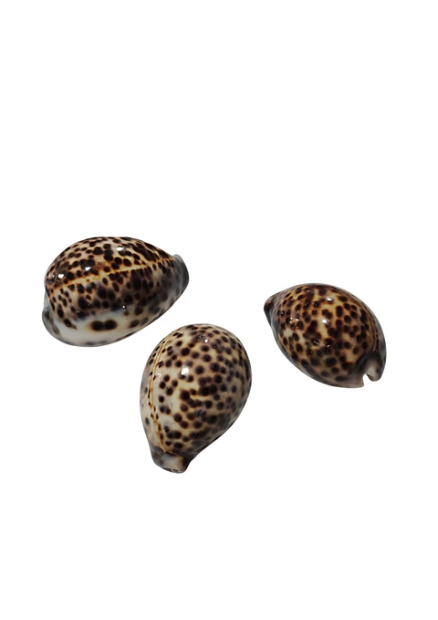 CARAMULLON OSCURO