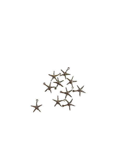 DIJE ESTRELLA DE MAR X10