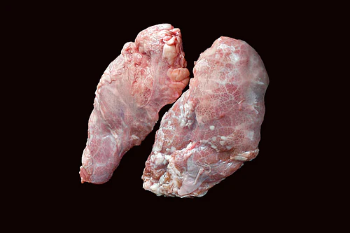 Gizzards