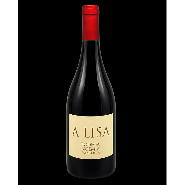 Alisa | Malbec, Patagonia