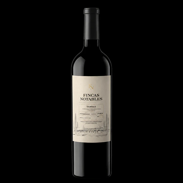 El Esteco Finca Los Notables | Tannat, Salta