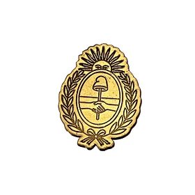 Apliques en Bronce  - Escudo Argentina