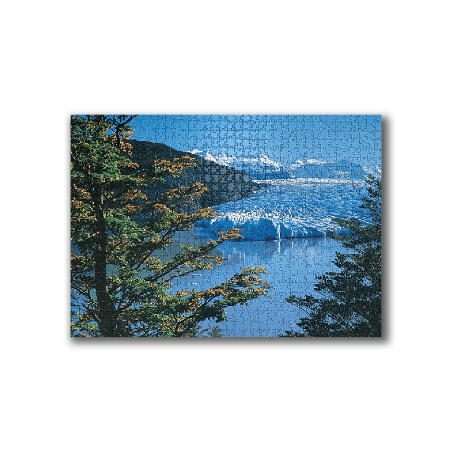 Puzzle Glaciar Grey 1000 Piezas