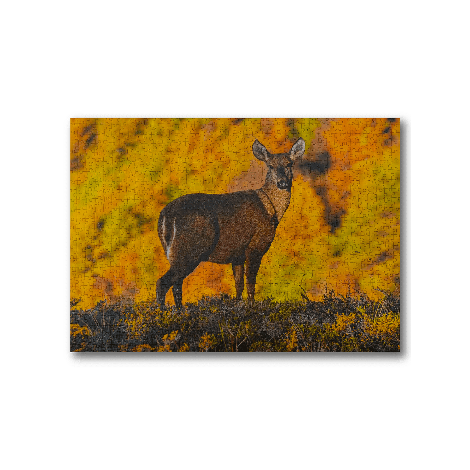 Puzzle Huemul 1000 Piezas