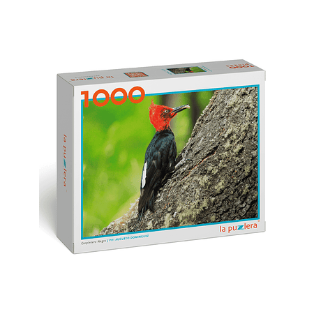 Puzzle Carpintero Negro 1000 Piezas