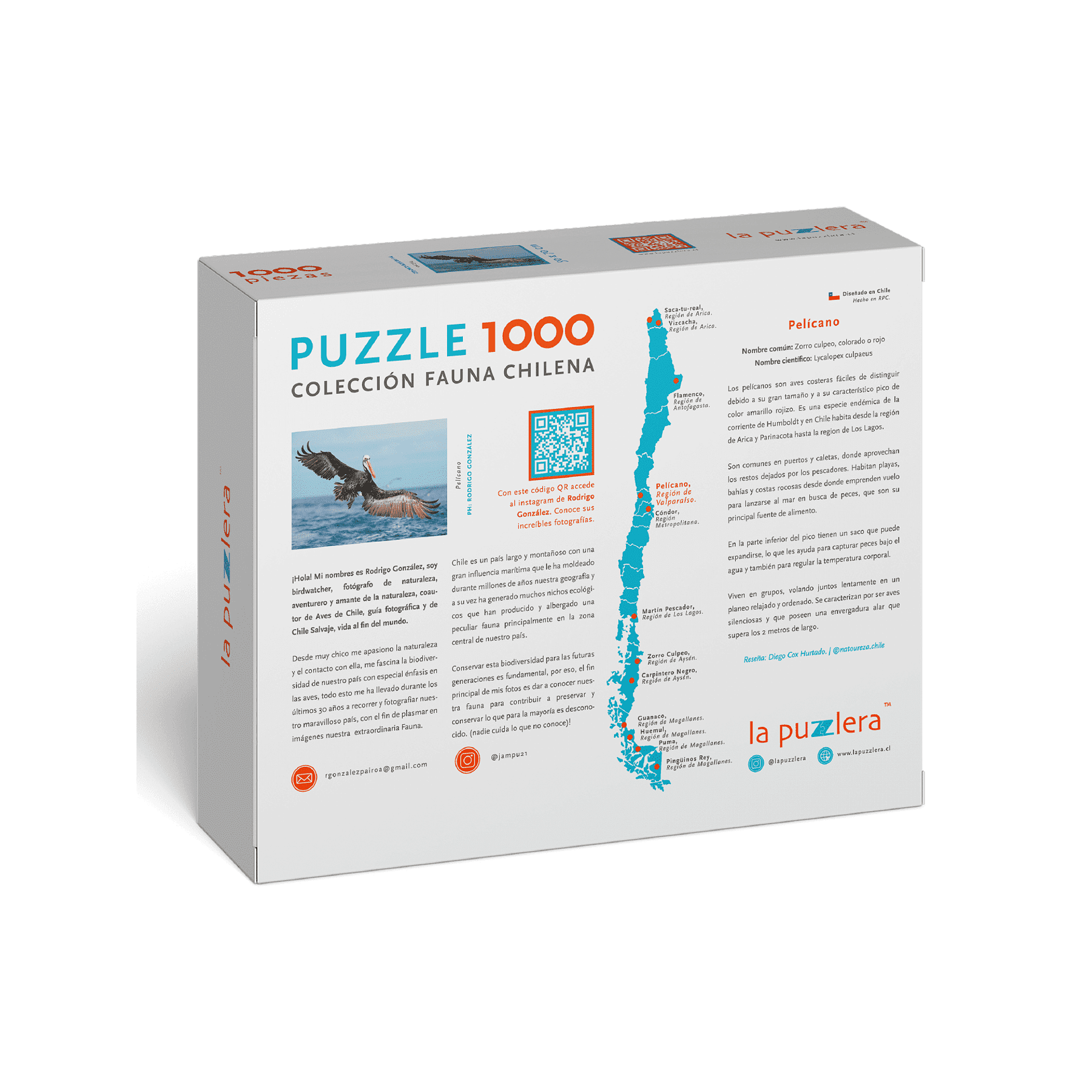 Puzzle Pelícano 1000 Piezas