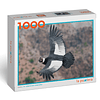 Puzzle Condor 1000 Piezas