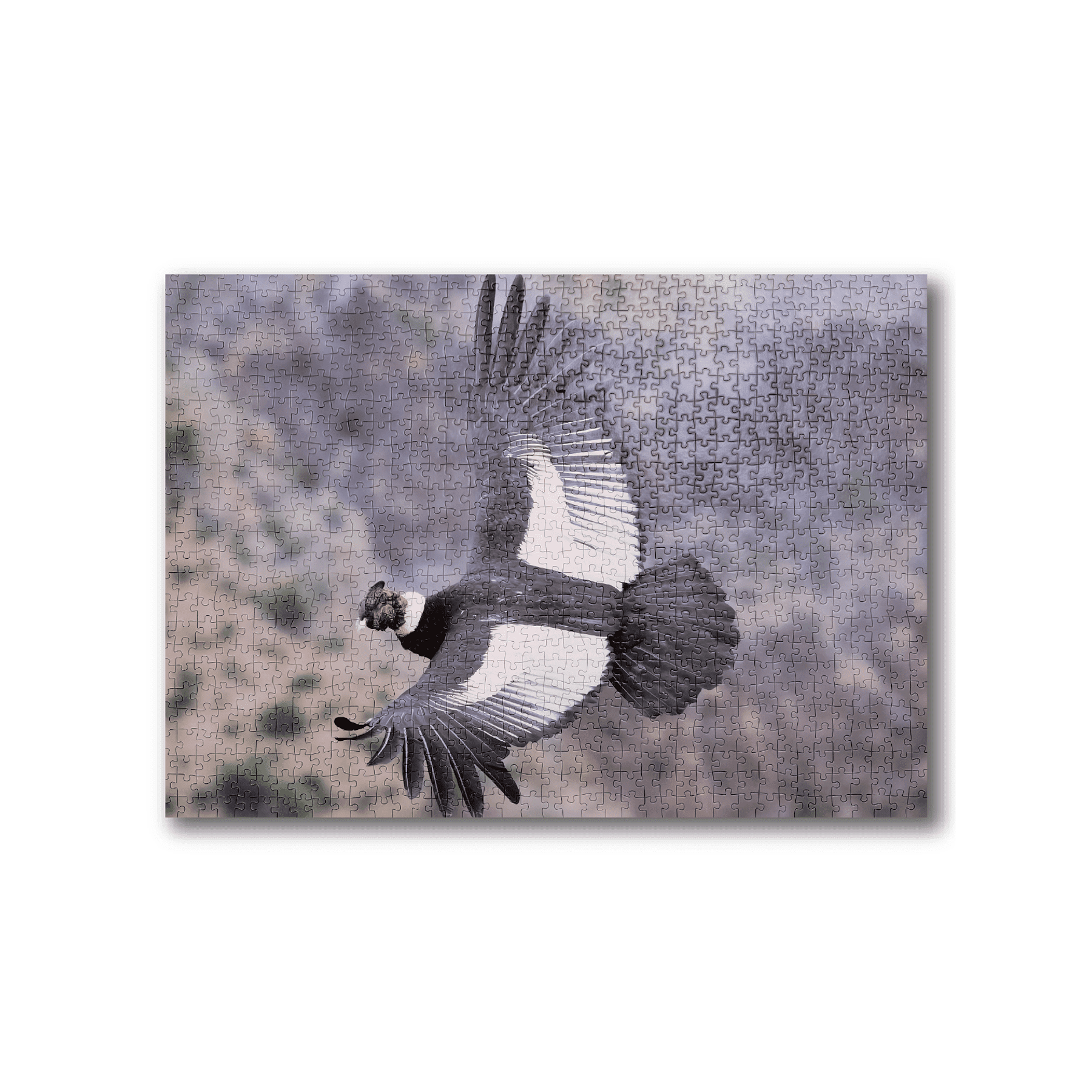 Puzzle Condor 1000 Piezas