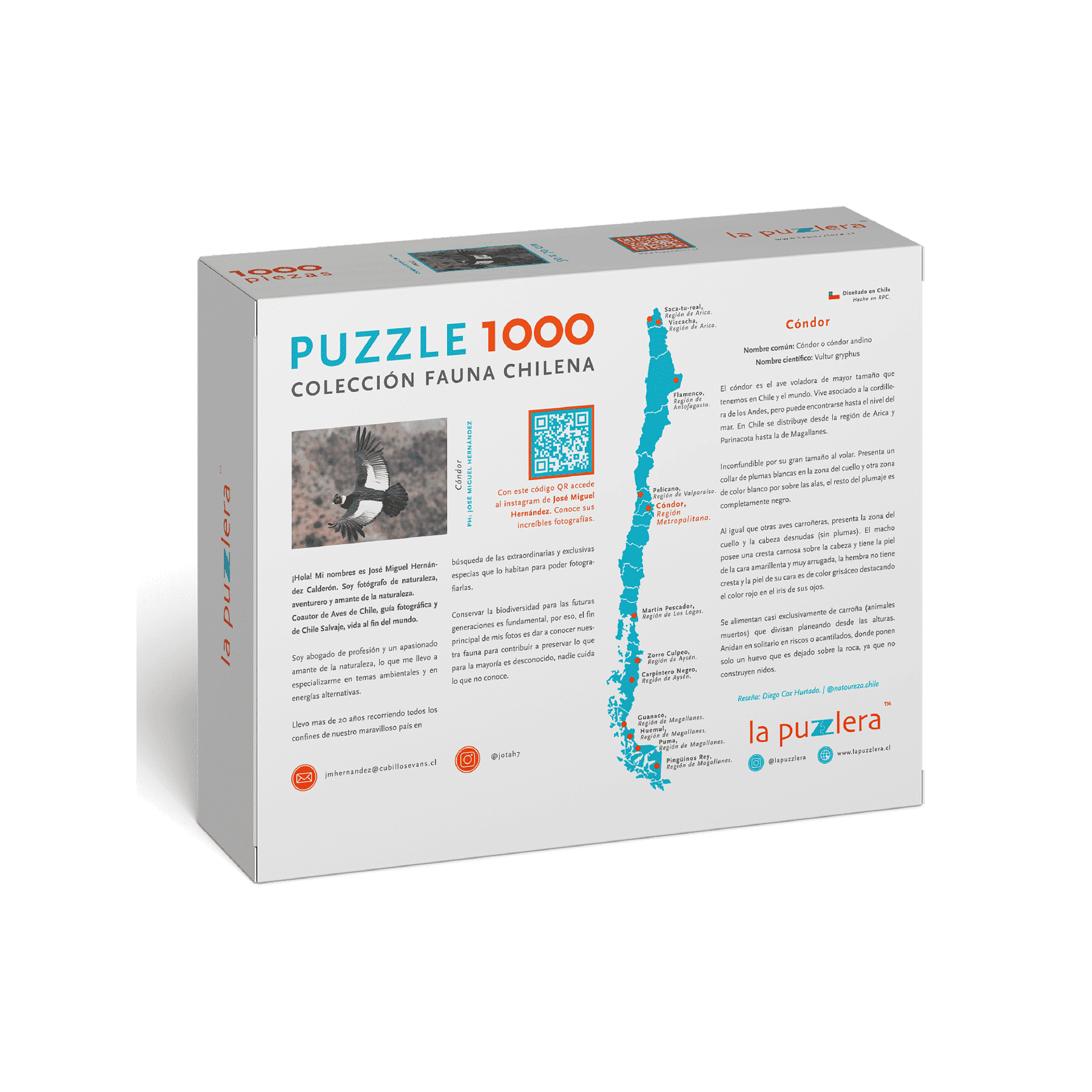 Puzzle Condor 1000 Piezas