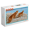 Puzzle Puma 2000 Piezas