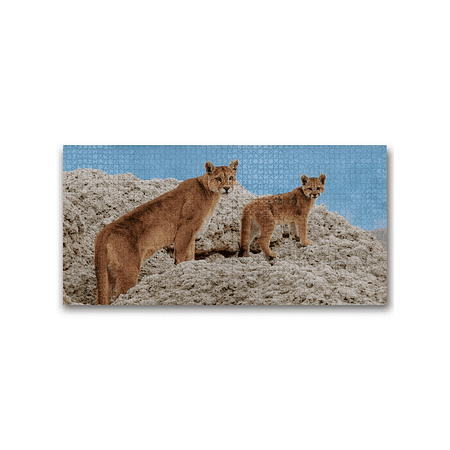 Puzzle Puma 2000 Piezas