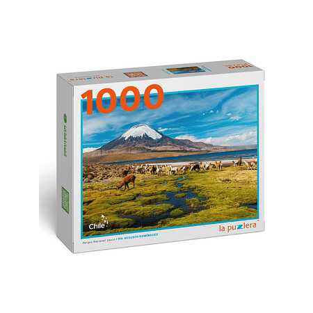 Puzzle Parque Nacional Lauca 1000 Piezas
