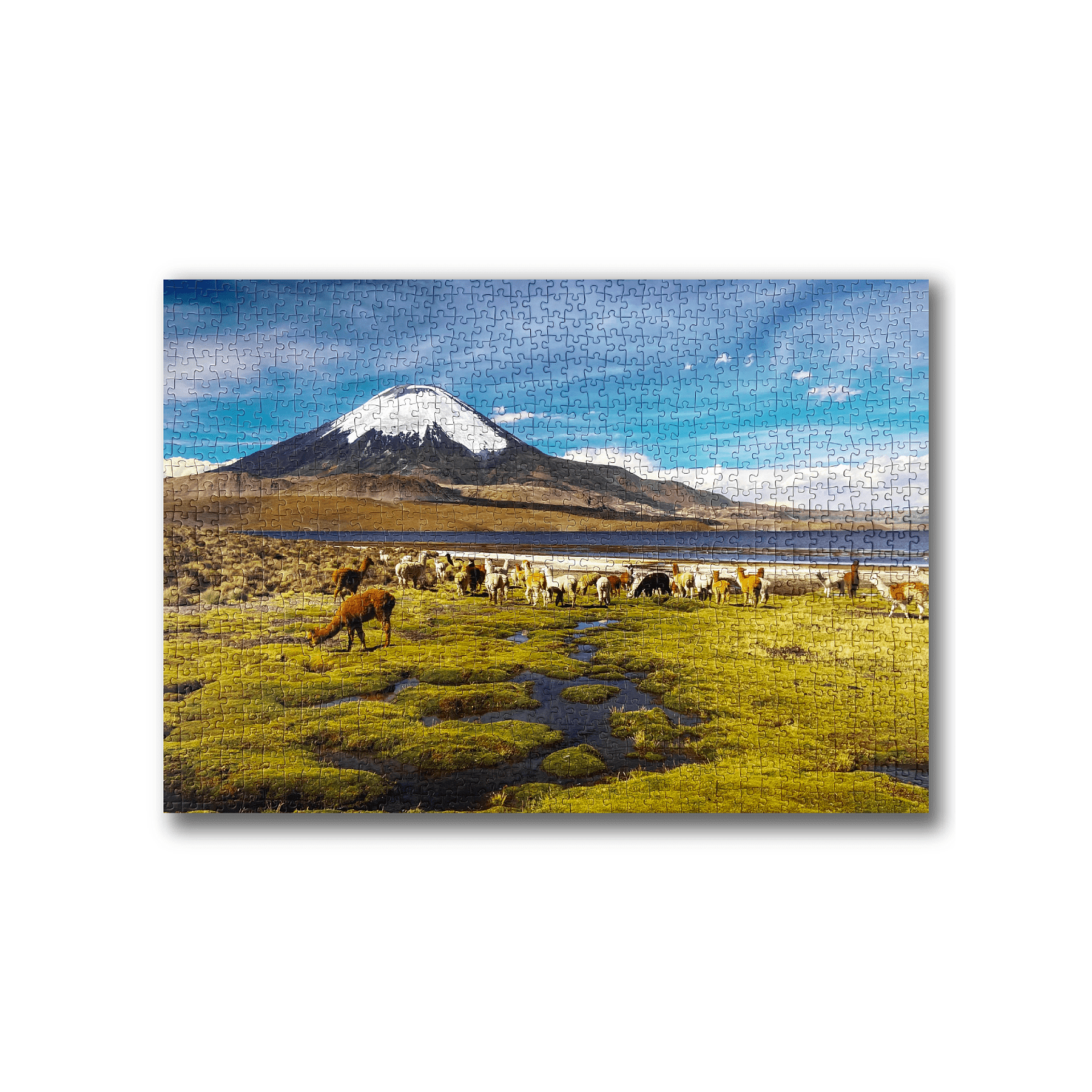 Puzzle Parque Nacional Lauca 1000 Piezas