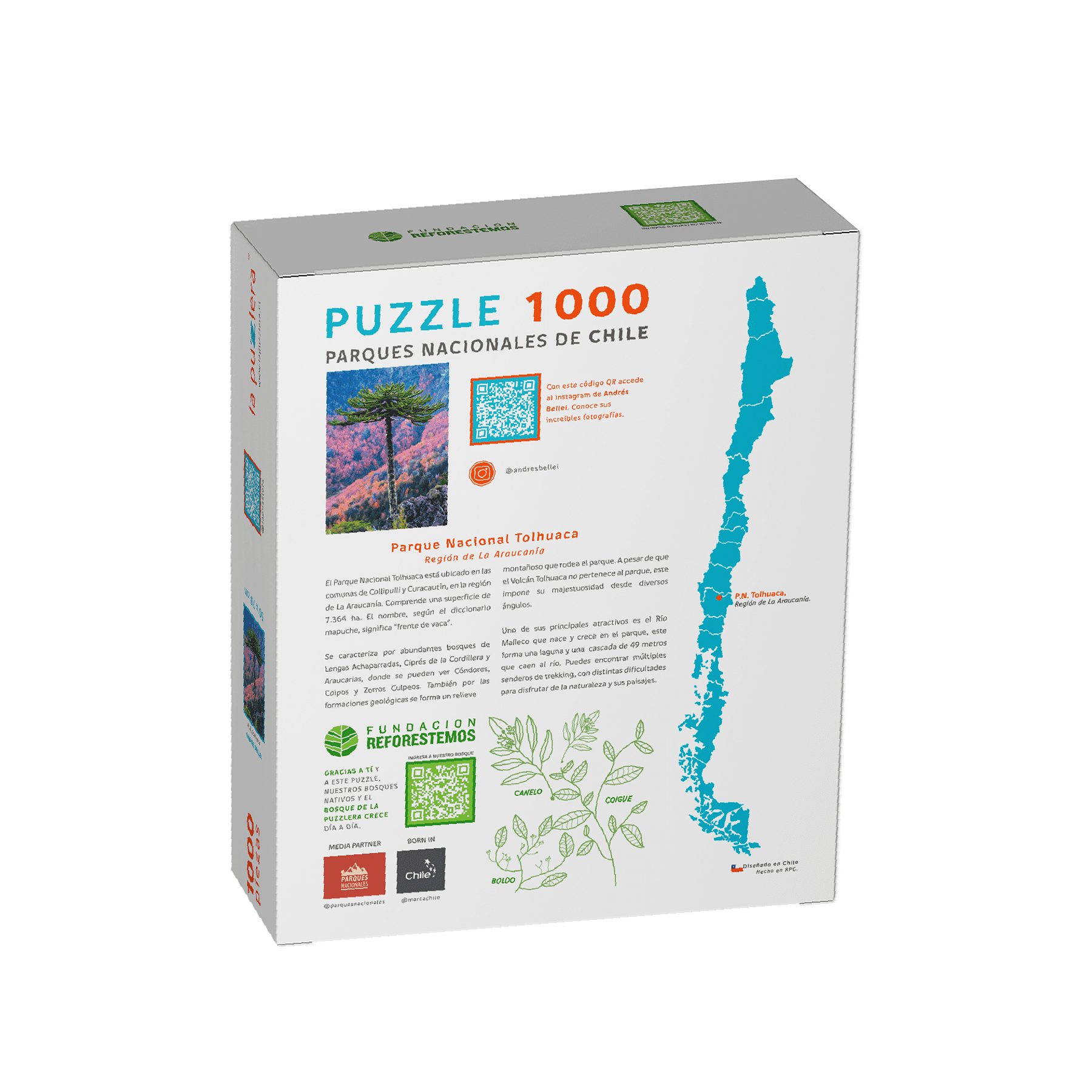 Puzzle Parque Nacional Tolhuaca 1000 Piezas